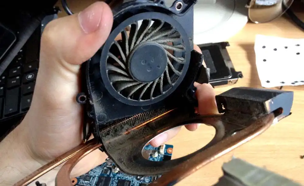 Чистка ноутбука HP от пыли в Светлом | Замена термопасты