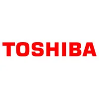 Ремонт ноутбука Toshiba в Светлом