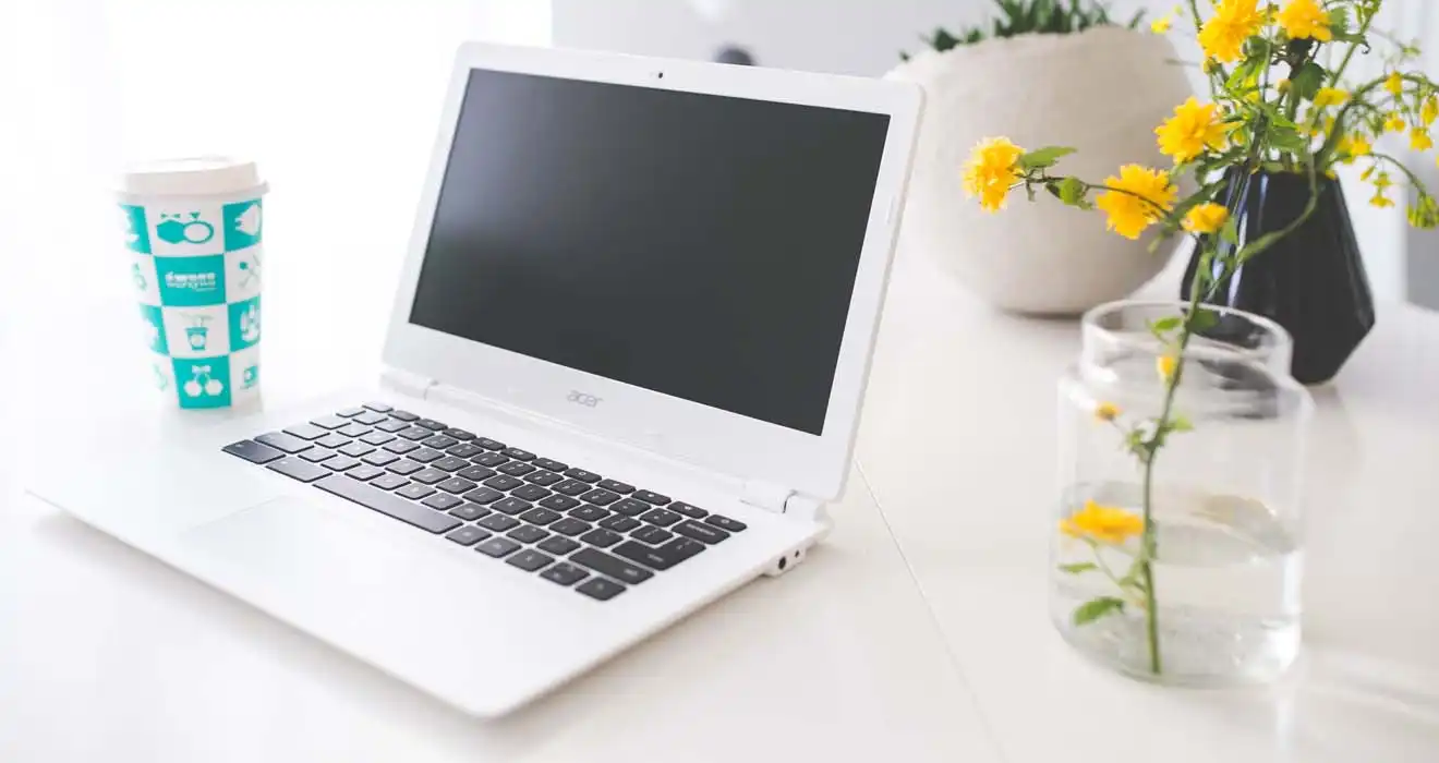 Ремонт ноутбуков Acer в Светлом