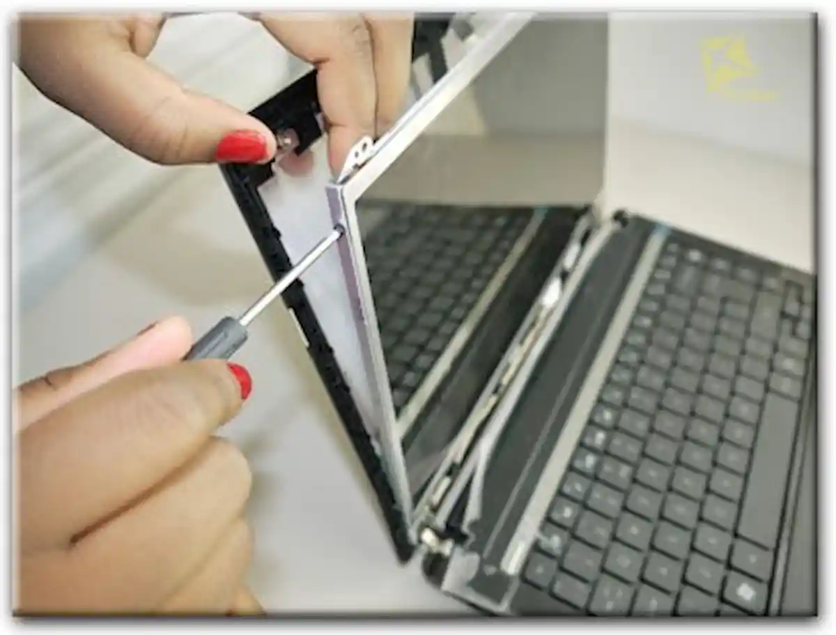 Замена экрана ноутбука Packard Bell в Светлом